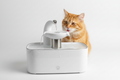 Fontaine à eau automatique pour chats