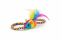 Souris interactive